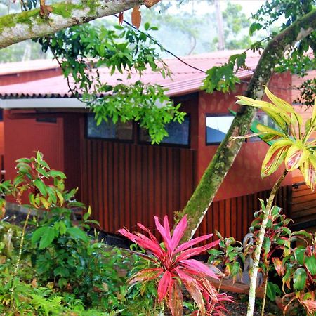 Casitas Eco Bambú Cartago Exterior foto