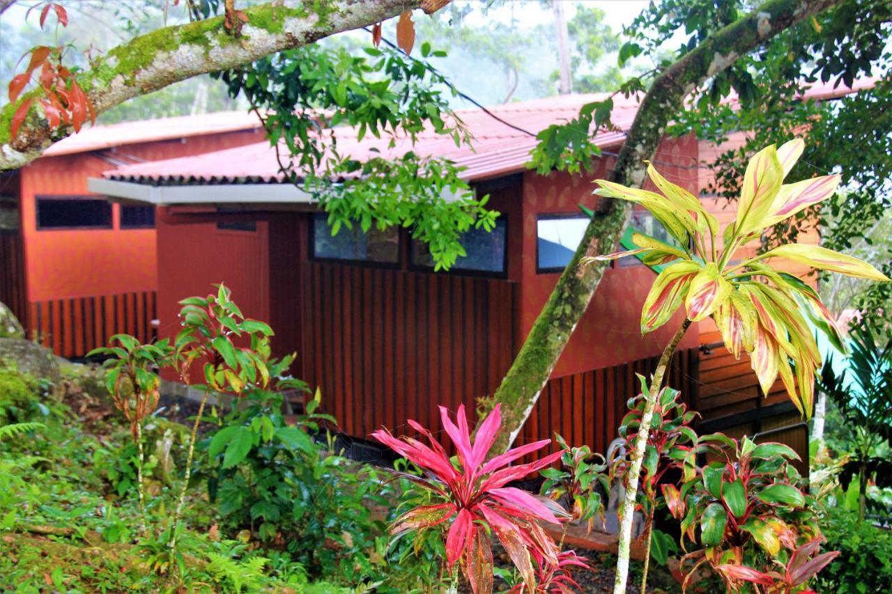 Casitas Eco Bambú Cartago Exterior foto